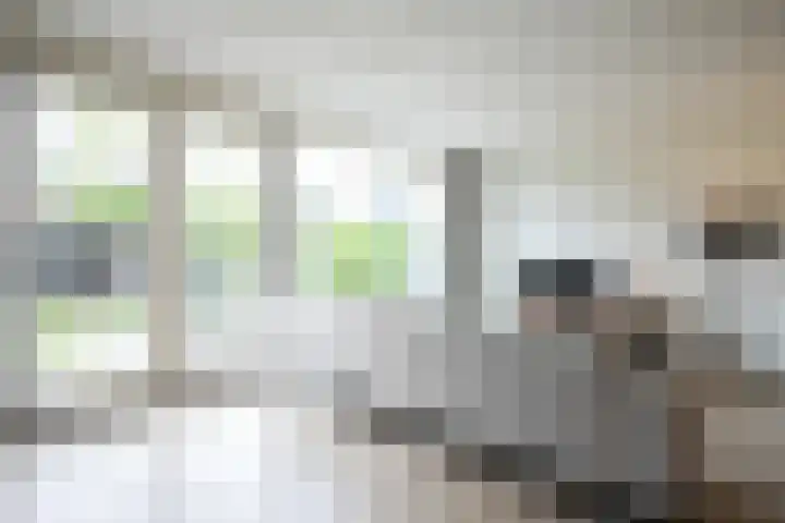 Lijster 8 Eijsden thumbnail 19