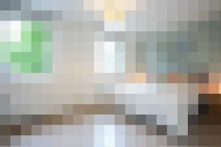 Lijster 8 Eijsden thumbnail 20