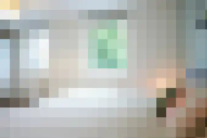 Lijster 8 Eijsden thumbnail 22