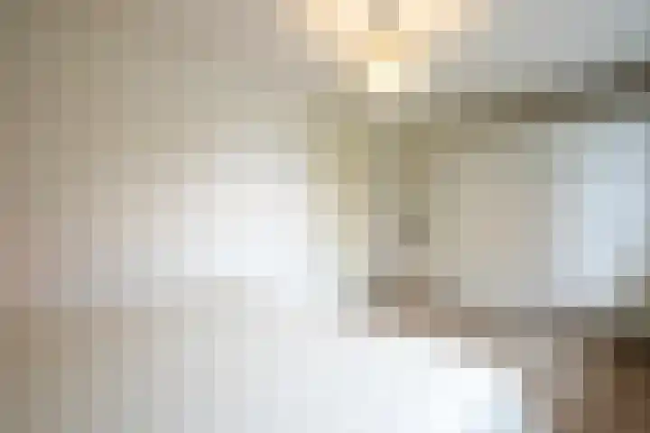 Lijster 8 Eijsden thumbnail 23