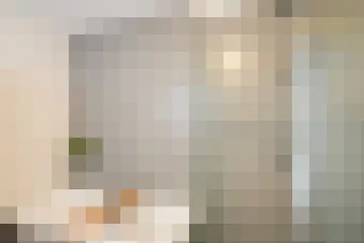 Lijster 8 Eijsden thumbnail 29