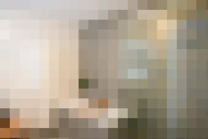 Lijster 8 Eijsden thumbnail 32