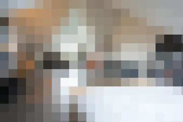 Lijster 8 Eijsden thumbnail 33