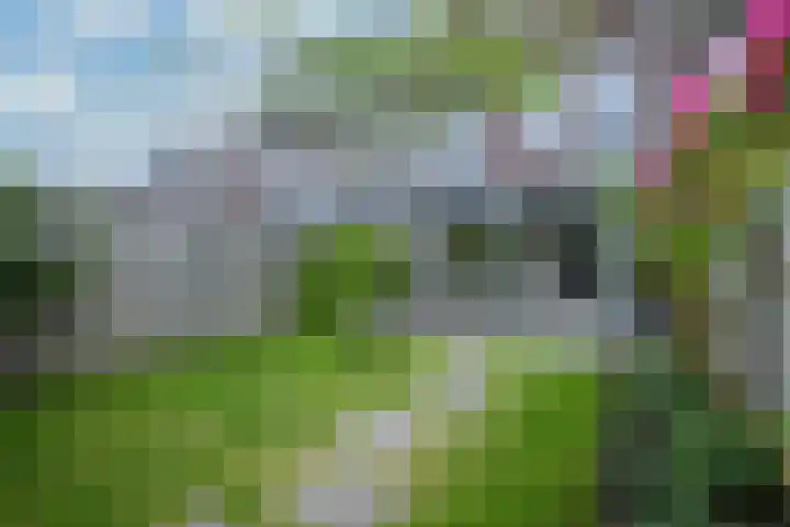 Lijster 8 Eijsden thumbnail 37