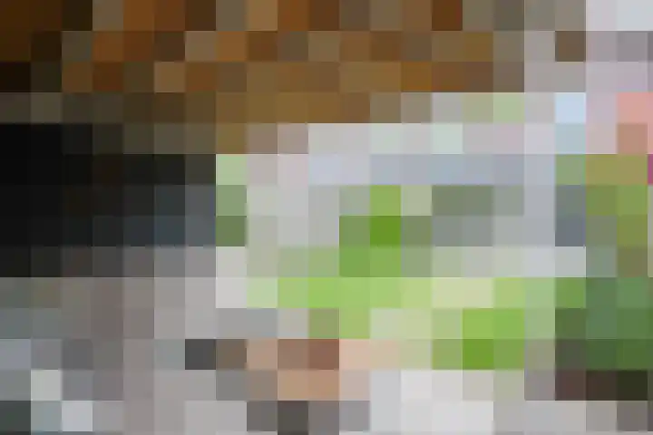 Lijster 8 Eijsden thumbnail 38