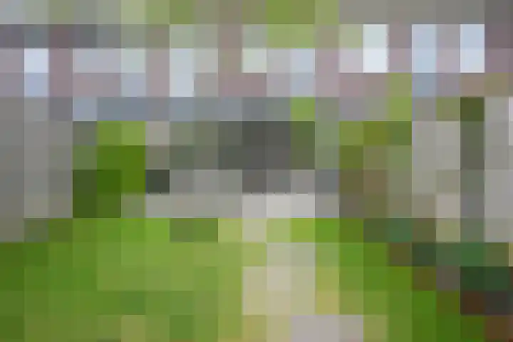 Lijster 8 Eijsden thumbnail 39