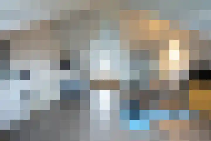Lijster 8 Eijsden thumbnail 4