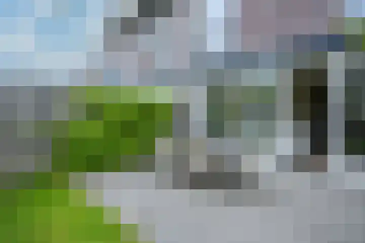 Lijster 8 Eijsden thumbnail 40