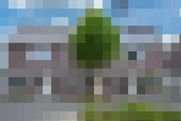 Lijster 8 Eijsden thumbnail 43
