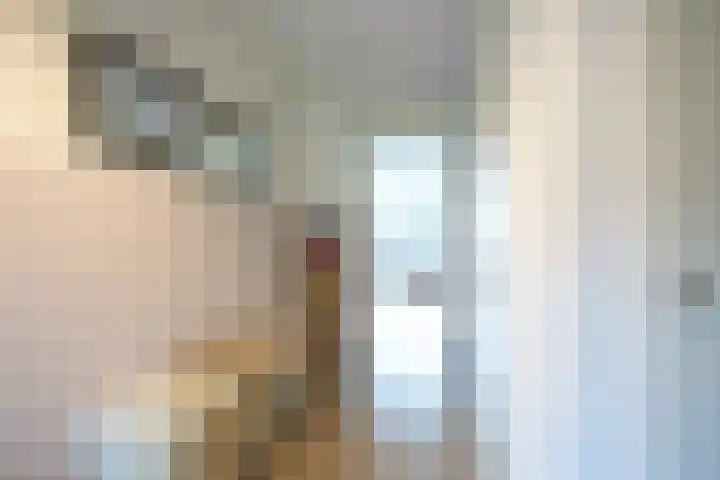 Lijster 8 Eijsden thumbnail 5