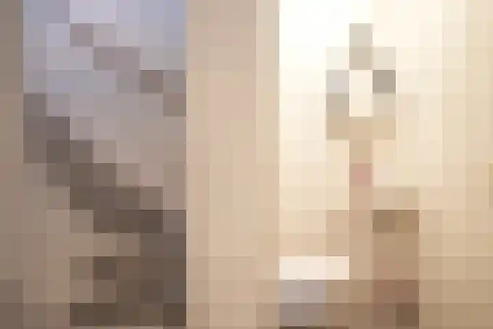 Lijster 8 Eijsden thumbnail 7