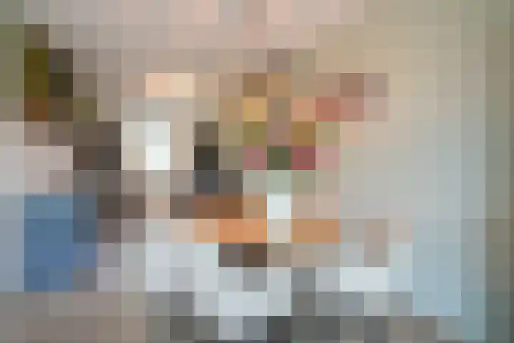 Lijster 8 Eijsden thumbnail 8