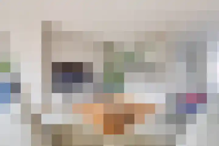 Lijster 83 Spanbroek thumbnail 10