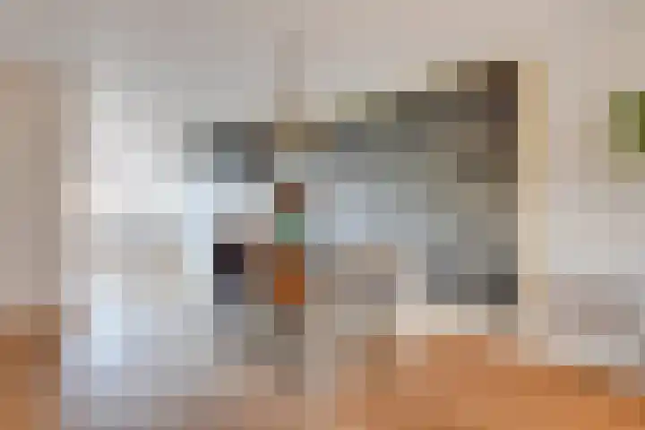 Lijster 83 Spanbroek thumbnail 13
