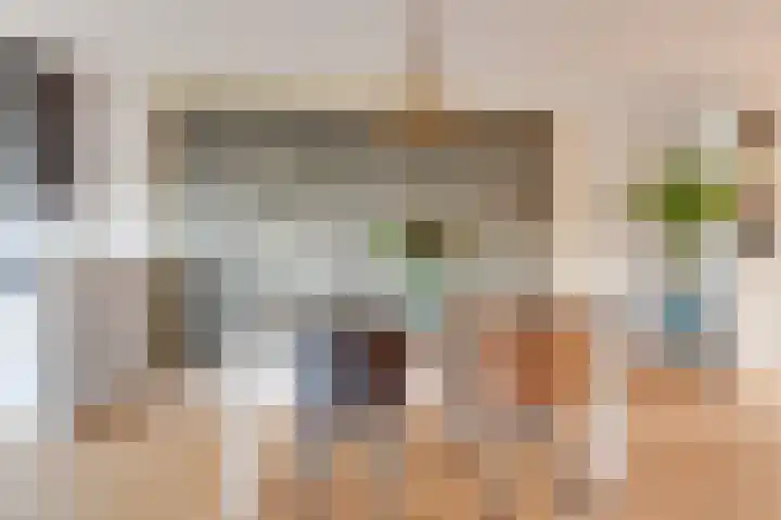 Lijster 83 Spanbroek thumbnail 14