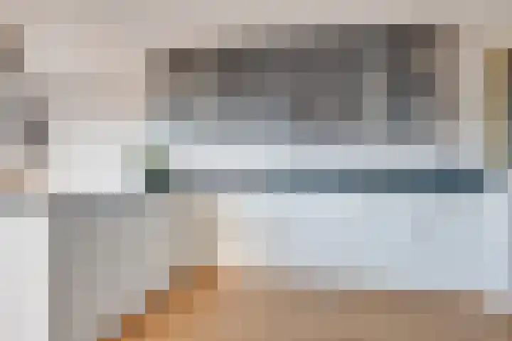 Lijster 83 Spanbroek thumbnail 18