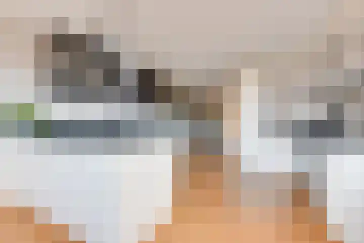 Lijster 83 Spanbroek thumbnail 19