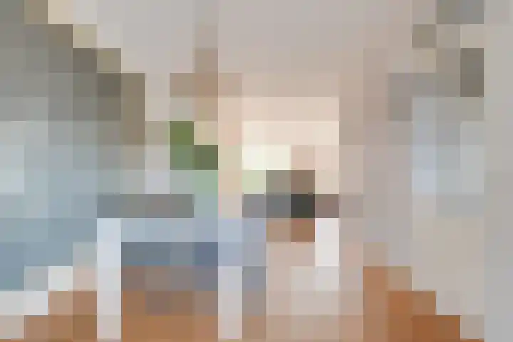 Lijster 83 Spanbroek thumbnail 23