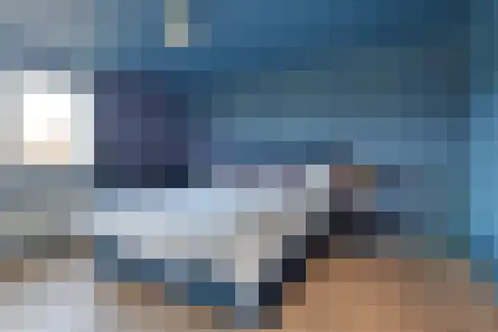 Lijster 83 Spanbroek thumbnail 4