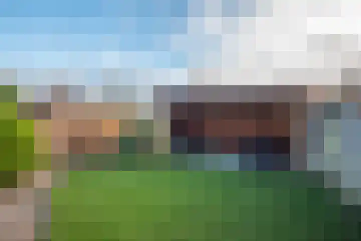 Lijster 83 Spanbroek thumbnail 49