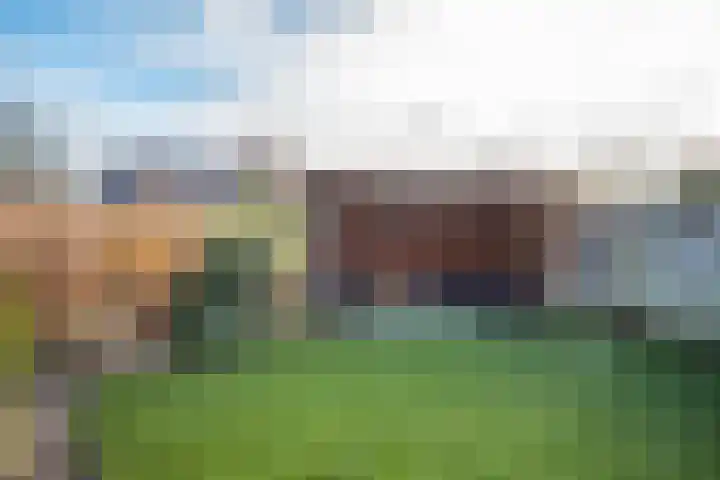 Lijster 83 Spanbroek thumbnail 50