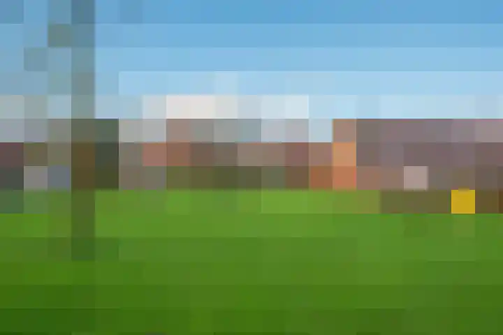 Lijster 83 Spanbroek thumbnail 57