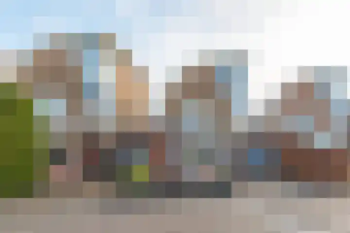 Lijster 83 Spanbroek thumbnail 58