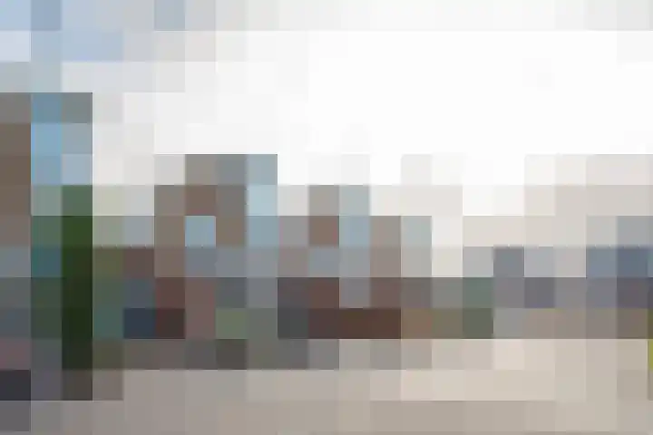 Lijster 83 Spanbroek thumbnail 59
