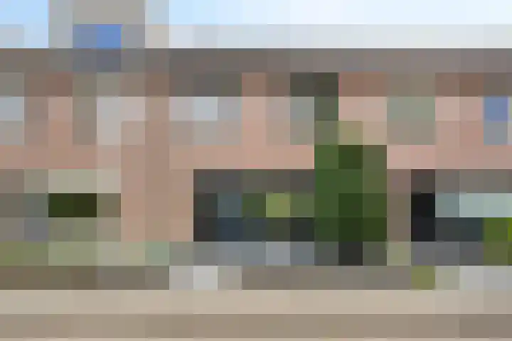 Lijsterbes 5 Best