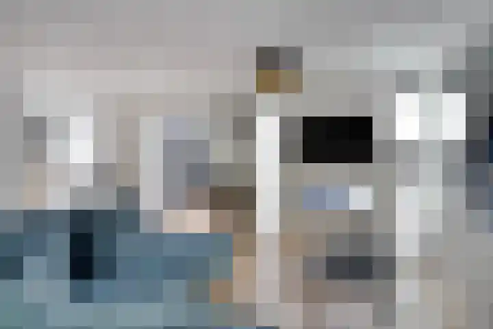 Lijsterbes 5 Best thumbnail 10