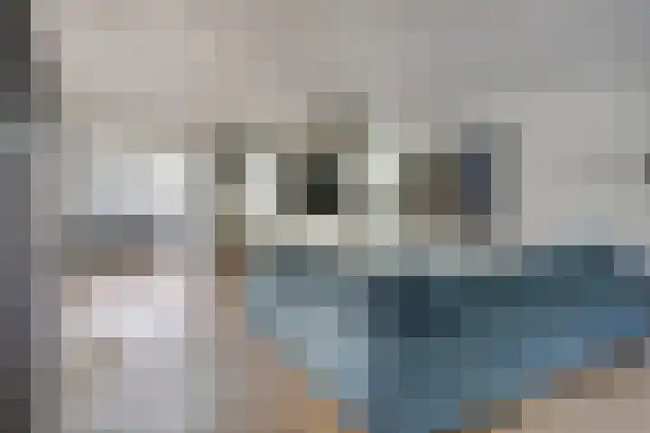 Lijsterbes 5 Best thumbnail 11
