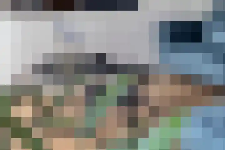 Lijsterbes 5 Best thumbnail 18