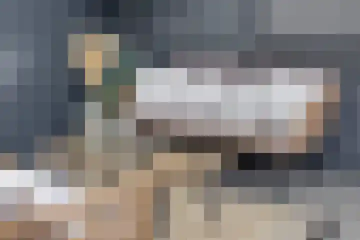Lijsterbes 5 Best thumbnail 27