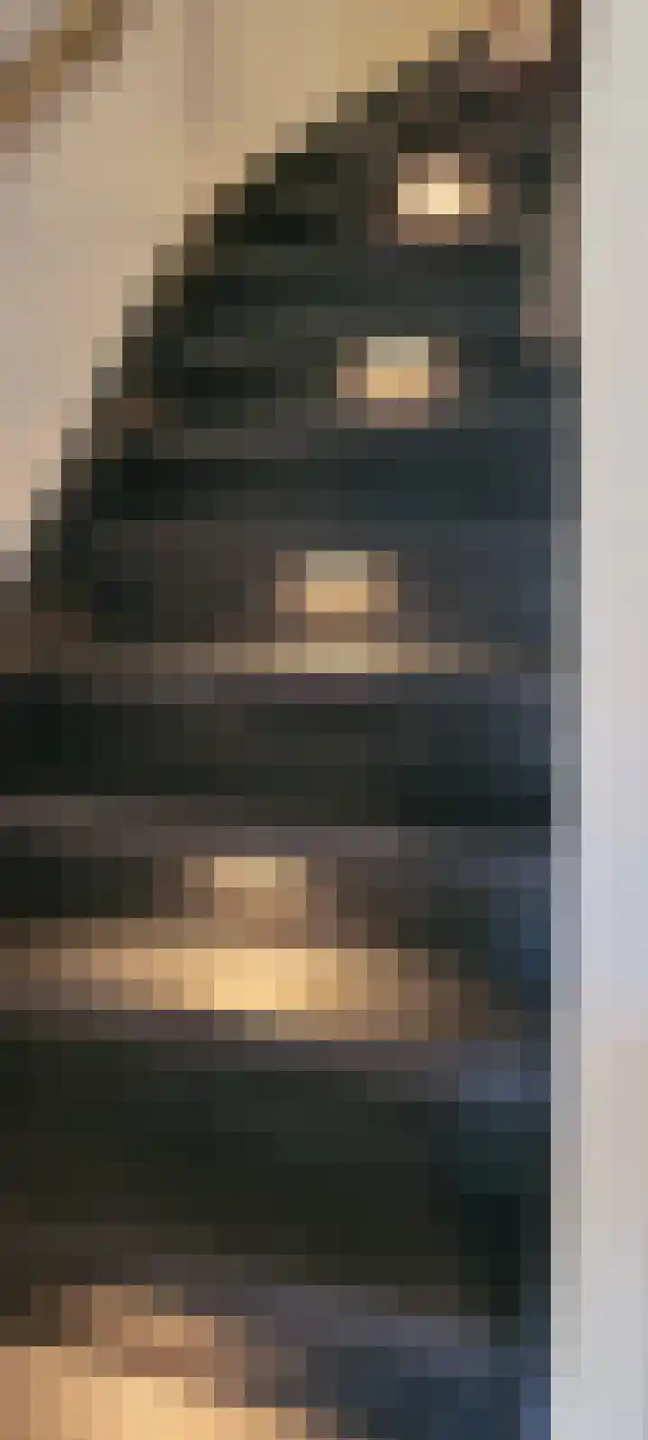 Lijsterbes 5 Best thumbnail 28