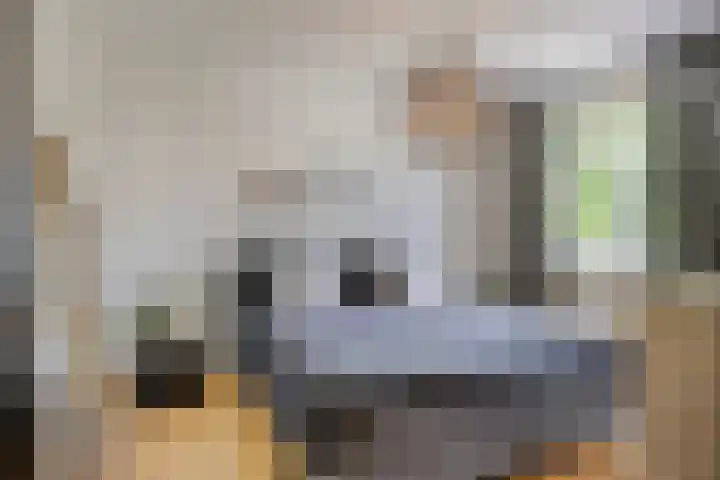 Lijsterbes 5 Best thumbnail 29