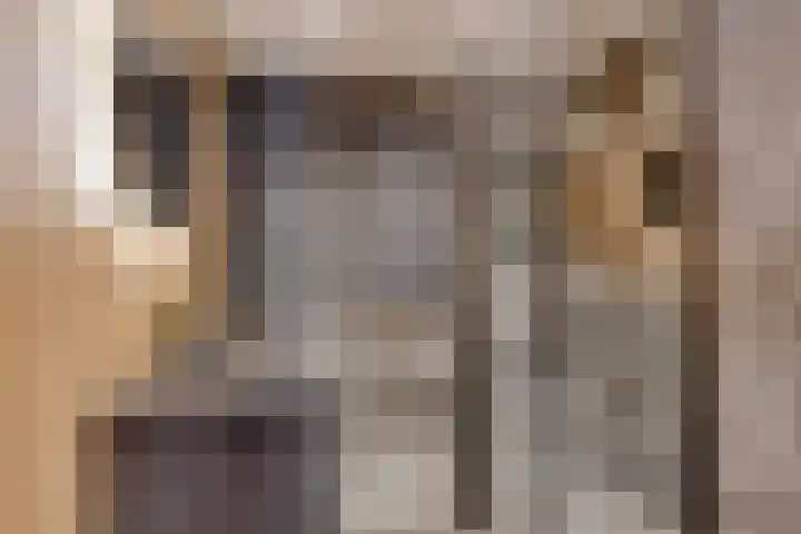 Lijsterbes 5 Best thumbnail 36