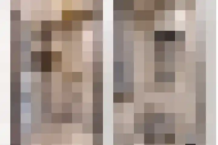 Lijsterbes 5 Best thumbnail 37