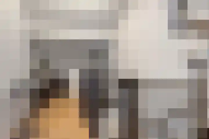 Lijsterbes 5 Best thumbnail 38