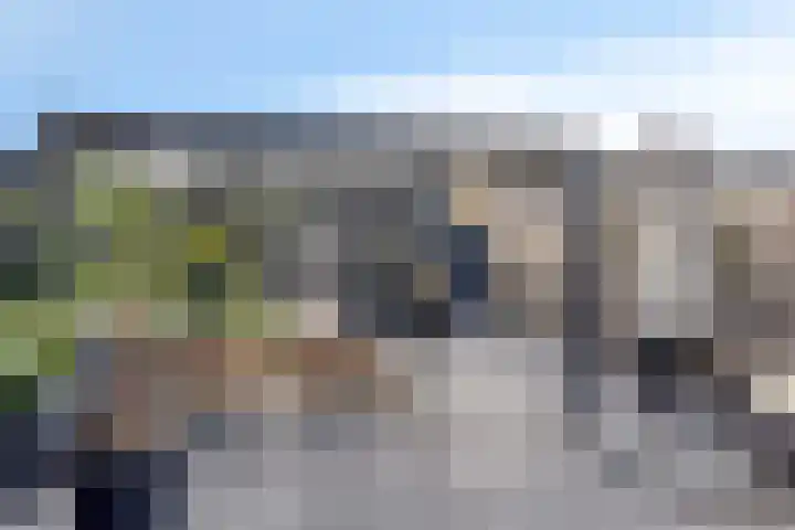 Lijsterbes 5 Best thumbnail 43