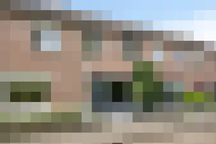 Lijsterbes 5 Best thumbnail 5