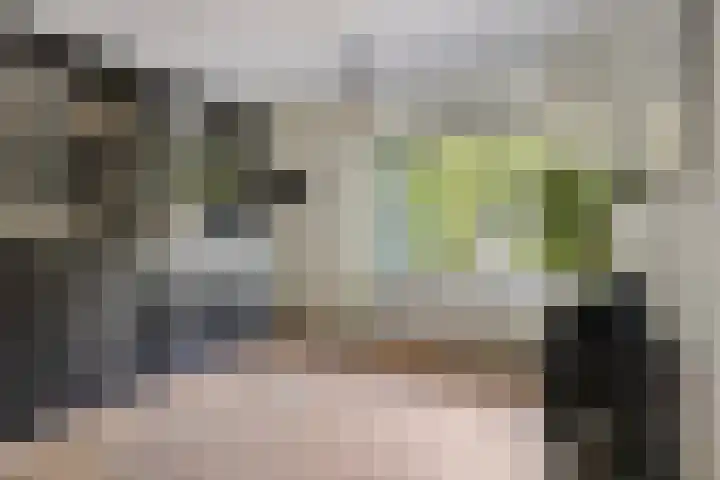 Lijsterbes 5 Best thumbnail 8