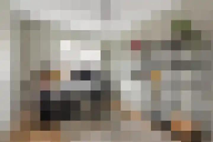 Lijsterbes 8 Borne thumbnail 10