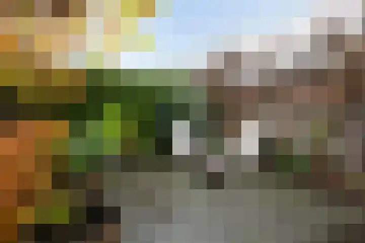 Lijsterbes 8 Borne thumbnail 12