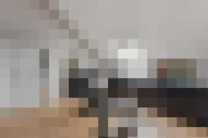 Lijsterbes 8 Borne thumbnail 12