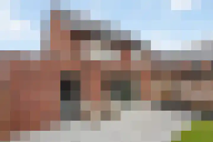 Lijsterbes 8 Borne thumbnail 14