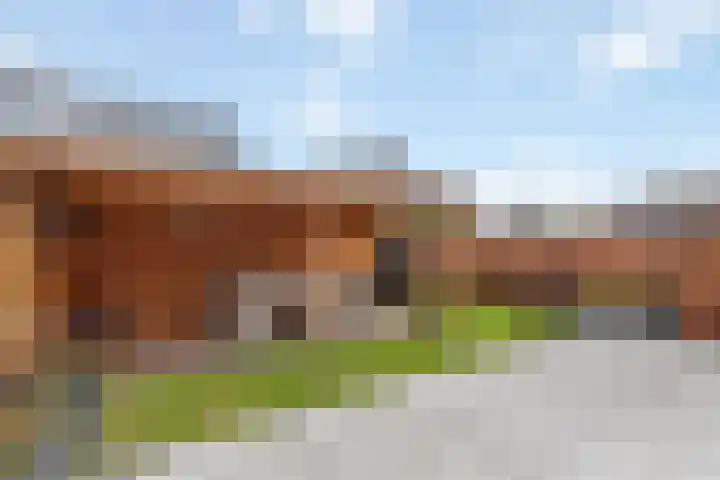 Lijsterbes 8 Borne thumbnail 15