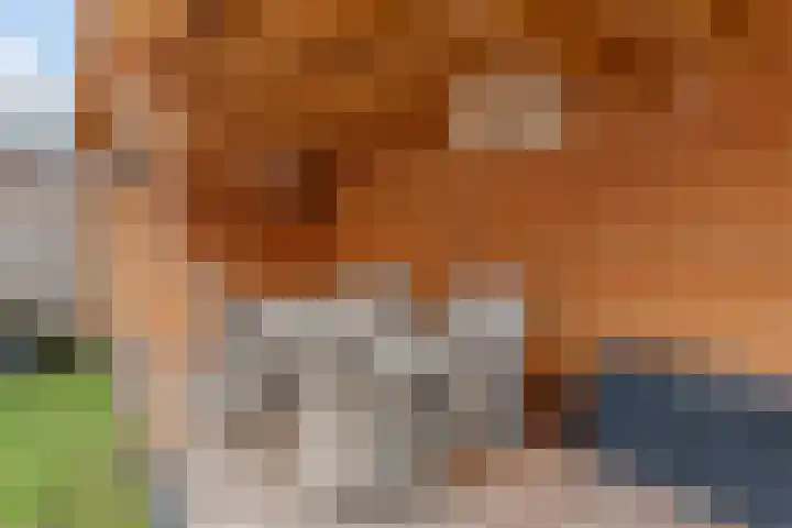 Lijsterbes 8 Borne thumbnail 16