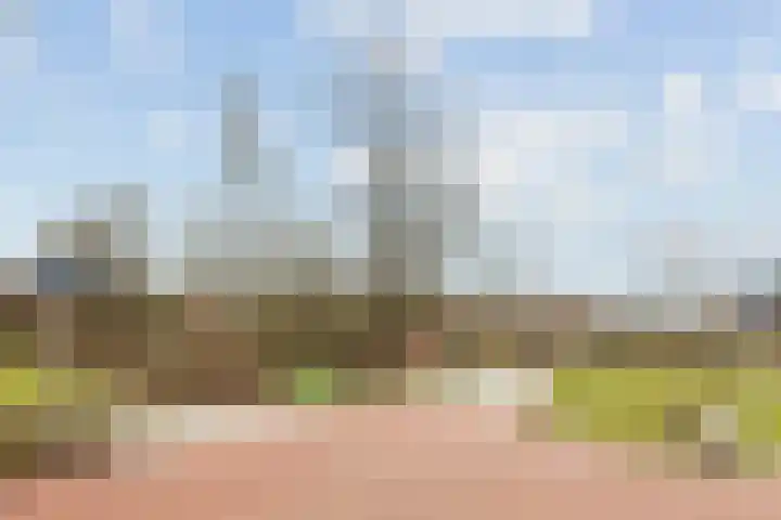 Lijsterbes 8 Borne thumbnail 17