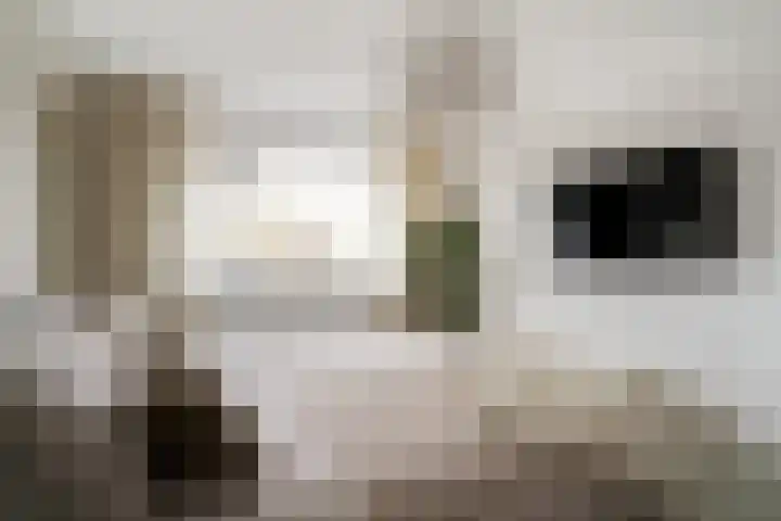Lijsterbes 8 Borne thumbnail 18