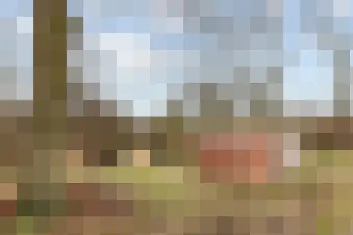 Lijsterbes 8 Borne thumbnail 18